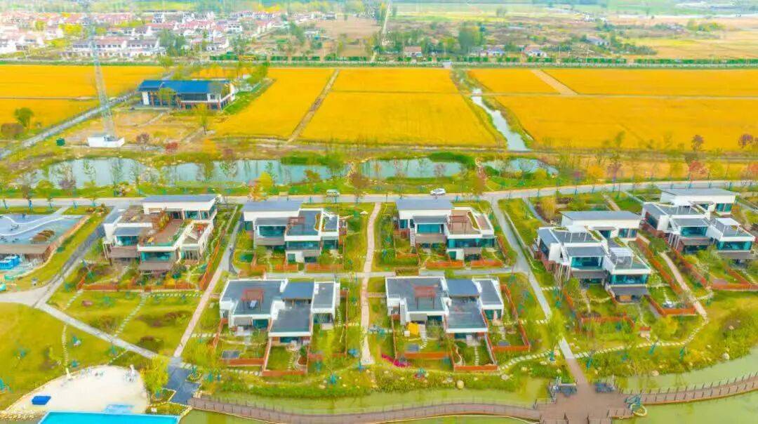 享多彩金秋畅游酒都宿迁AG真人国际活动篇 乐(图1)