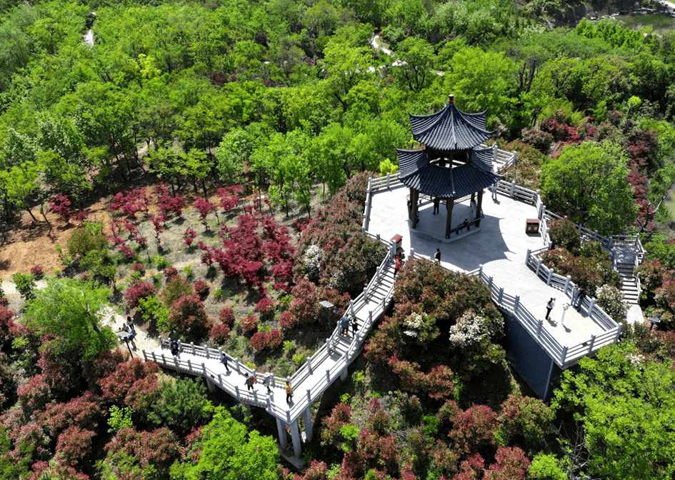 享多彩金秋畅游酒都宿迁AG真人国际活动篇 乐(图30)